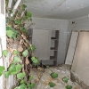 DSCN3001