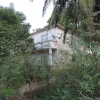 DSCN3018